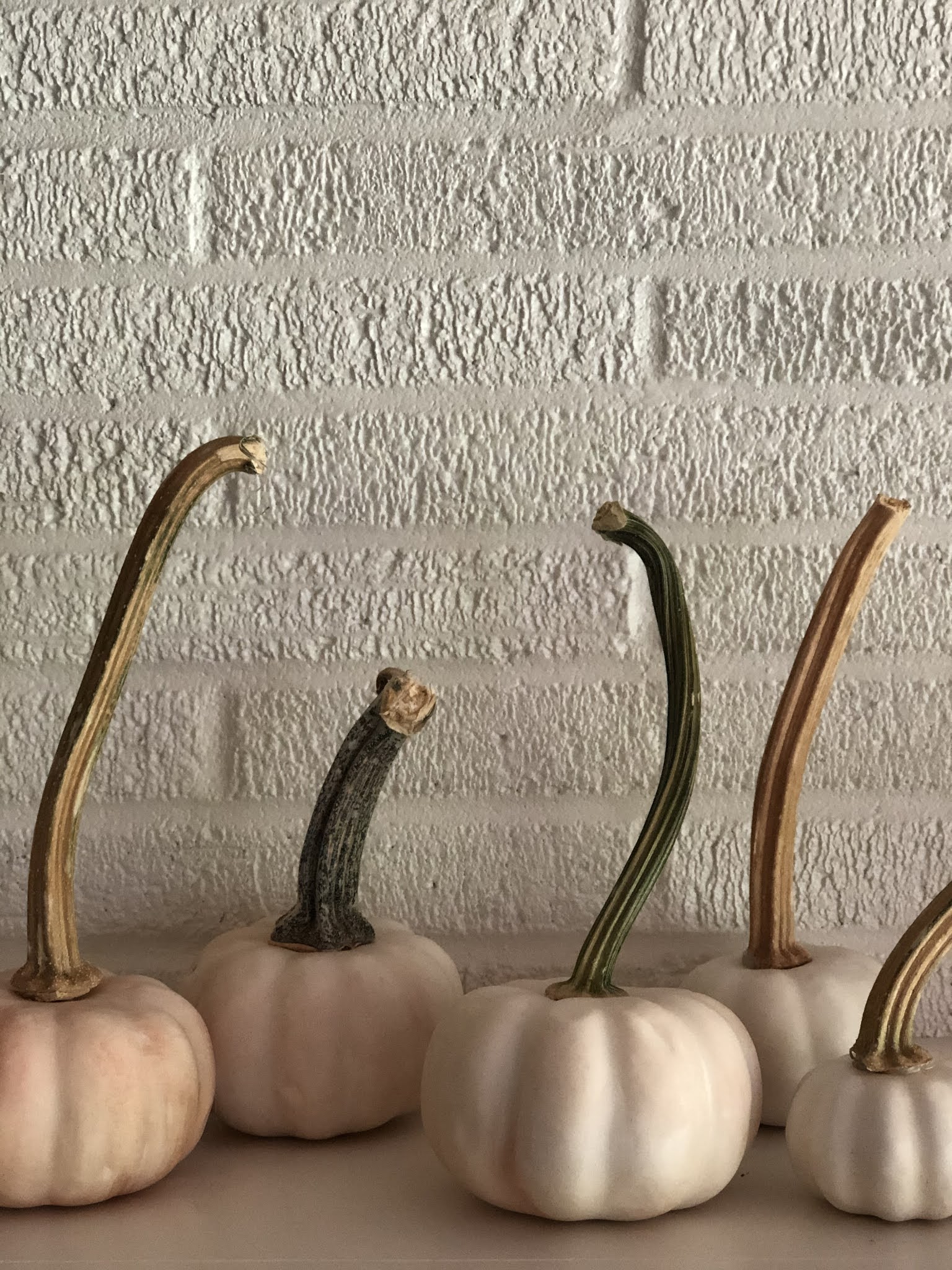 blush pink pumpkins DIY Knitionary