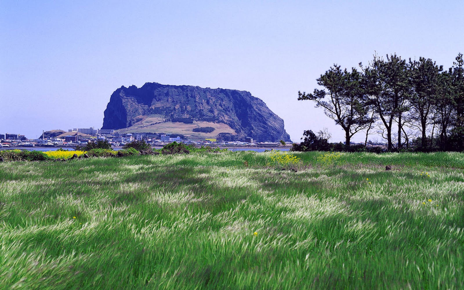 HD Windows 7 Wallpapers | Galerry Wallpaper