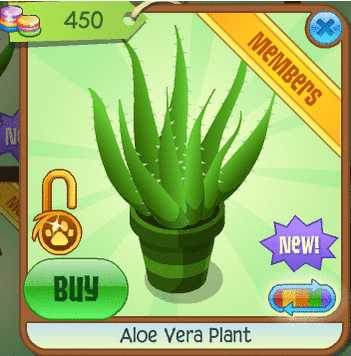 Animal Jam Spirit Blog: Aloe Vera Plant and 200 Diamond Beanbag?