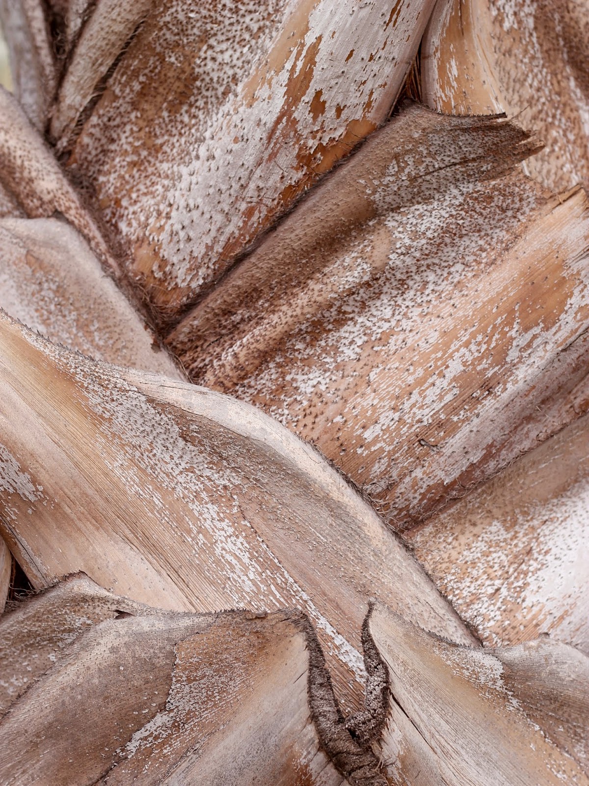 اجمل صور خلفيات للجوال عالية الجودة بدون حقوق موسوعة الصور