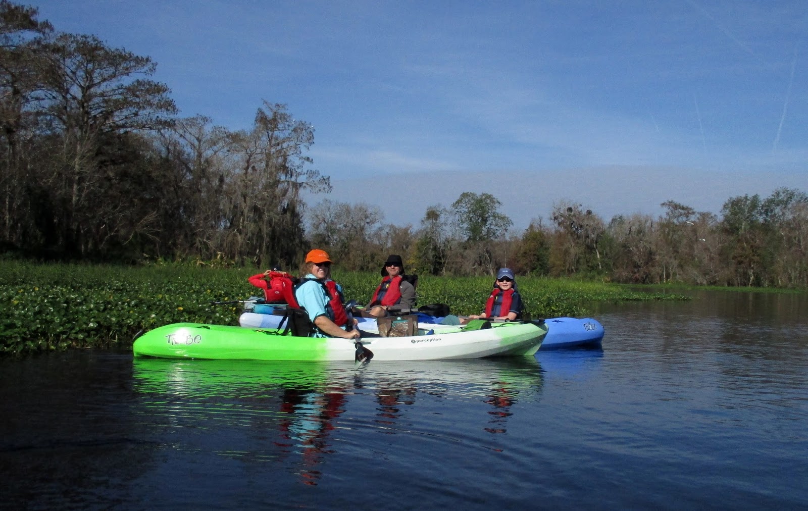 Central Florida Kayak Tours Kayaking with the Florida Manatees