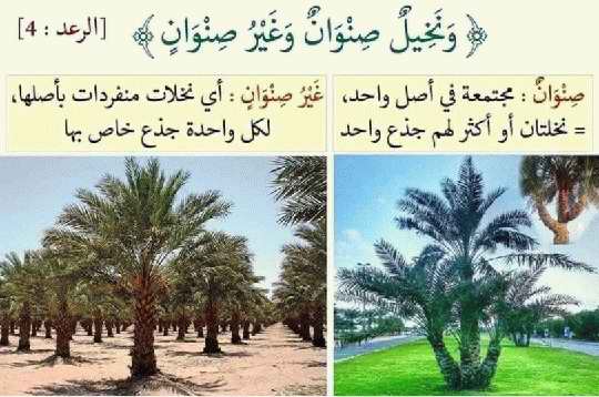 صور لفهم بعض آيات القرآن الكريم