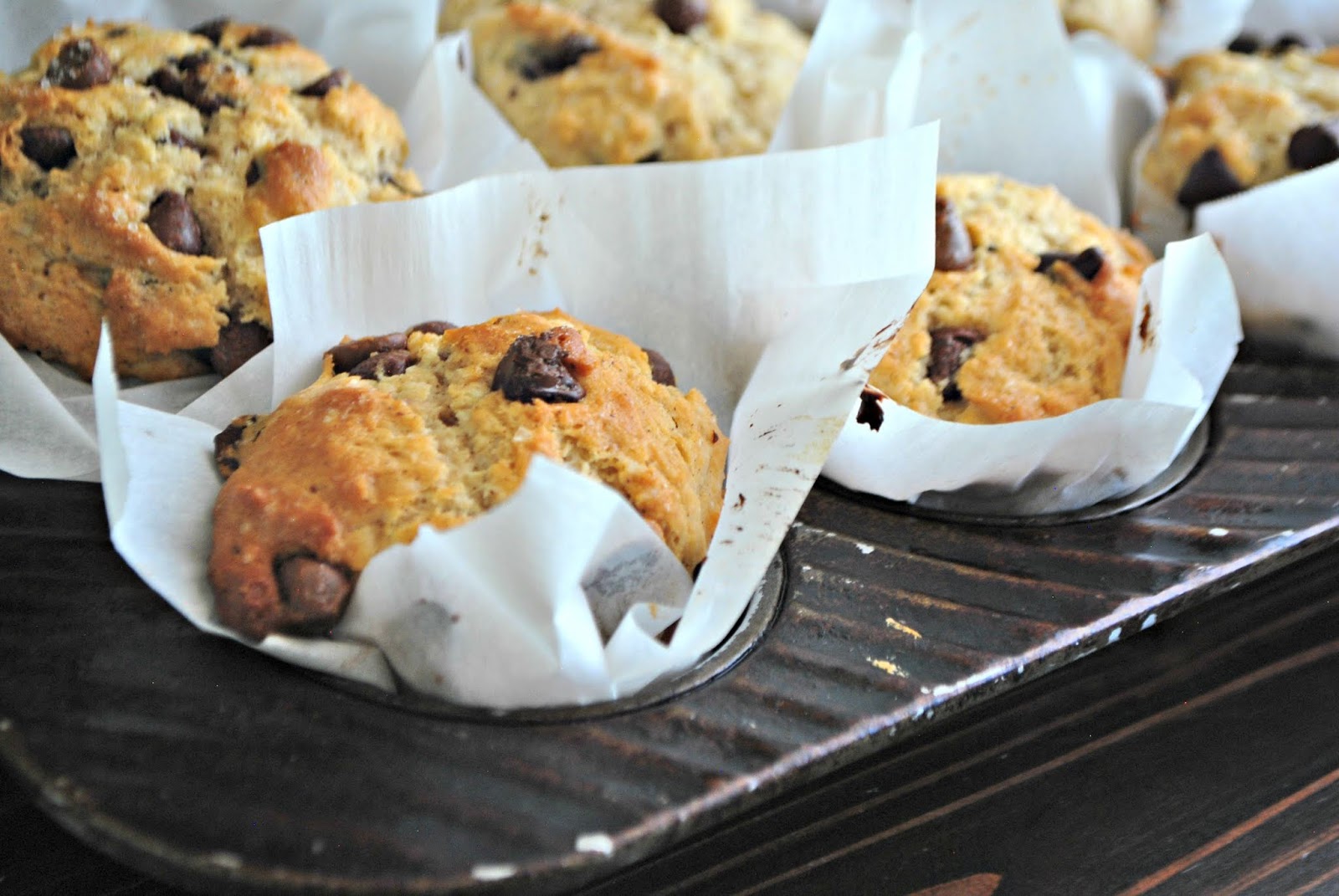 Bakery Style Sea Salt Chocolate Chip Muffins Keat's Eats