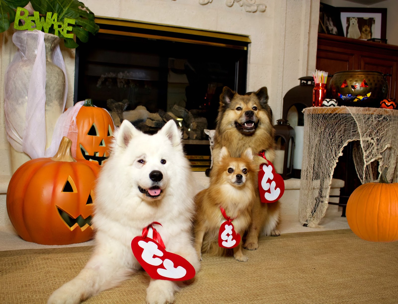 Template Ty Beanie Boo Costume Beanie Baby Tag Dog Costume Inside