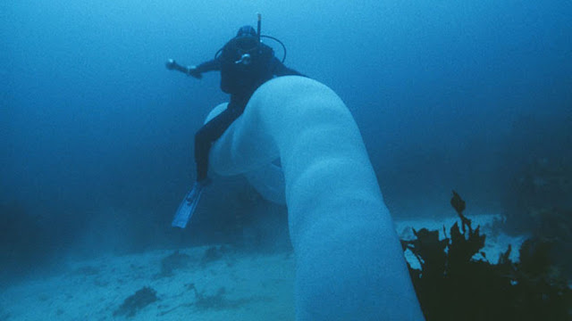 9 Strangest Ocean Phenomena You Wouldn't Believe Actually Exists!