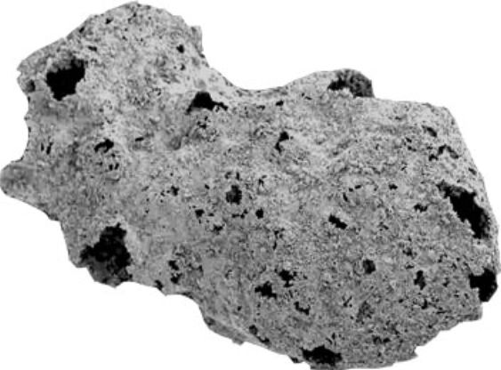 More On Namibia Sponge Fossils Are World S First Animals The Archaeology News Network more on namibia sponge fossils are