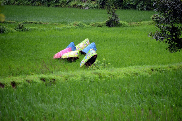 trek ratangad fort western ghats bhandardhara farming 