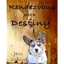 Rendezvous With Destiny by Jess Schira