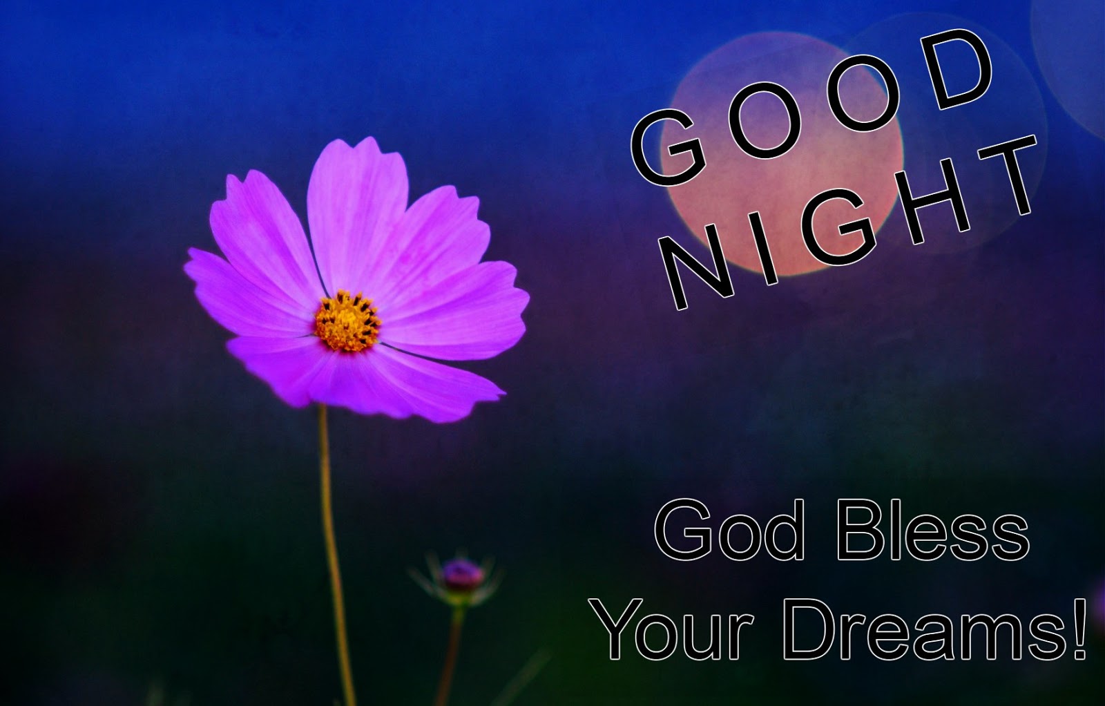 Short Quote about goodnight picture with flower