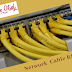 What is Network Cable & Types Of Network Cabling