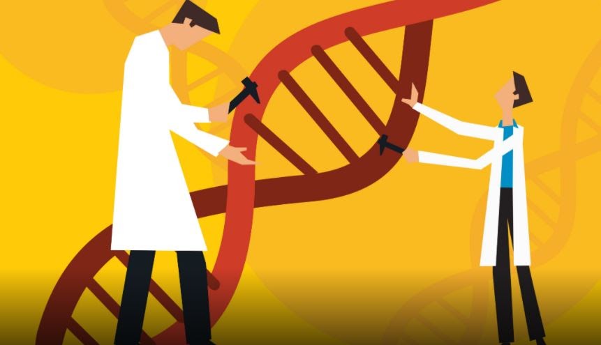 Gambar Pasangan Basa Nitrogen