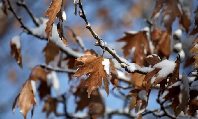 Καιρός: Γιατί δεν χιόνισε τελικά στην Αθήνα; Η εξήγηση και η… συγγνώμη του Γιάννη Καλλιάνου