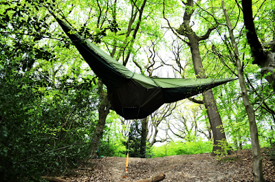 tentsile-0.jpg