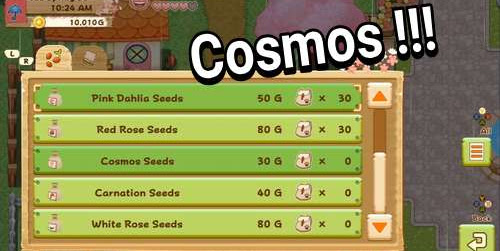 Easiest Way to Get A Lot of Cosmos in Harvest Moon: Light of Hope