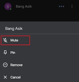 how to mute someone on google meet