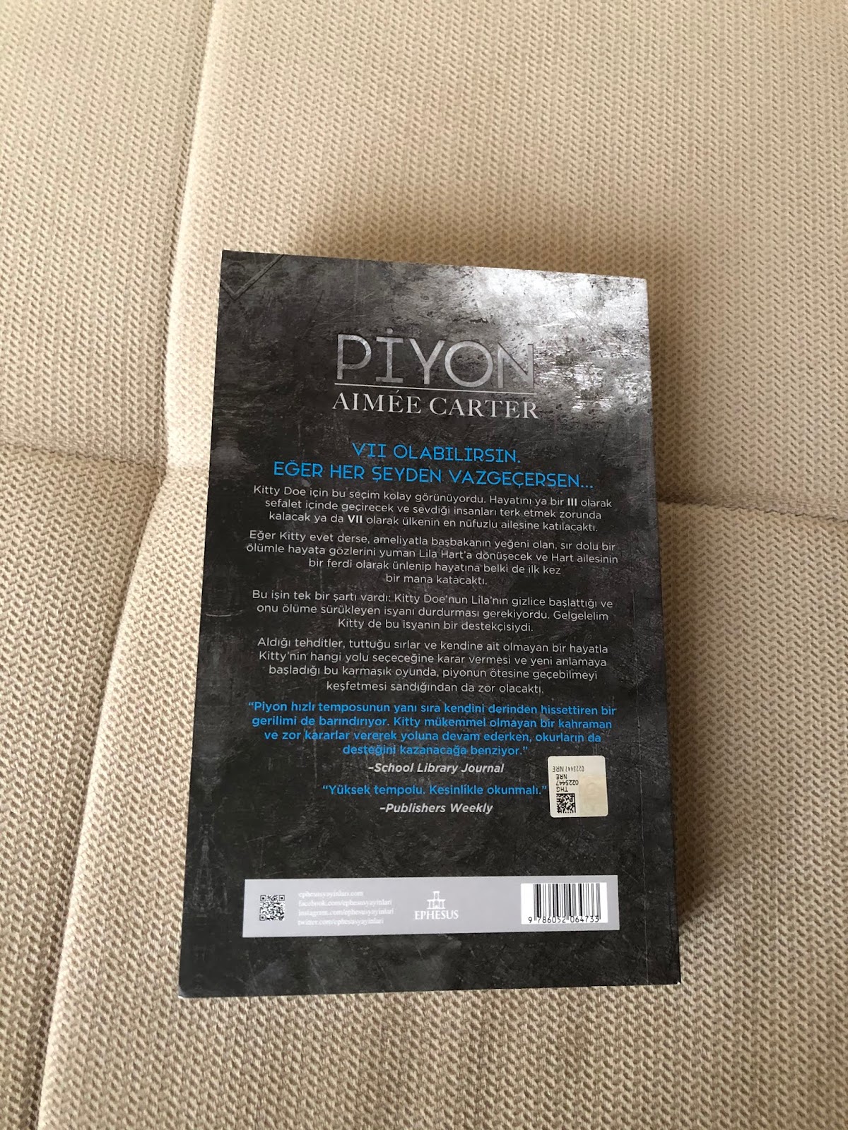 Piyon Vezir Sah Kitap Yorumu Haveyoumetmyblog