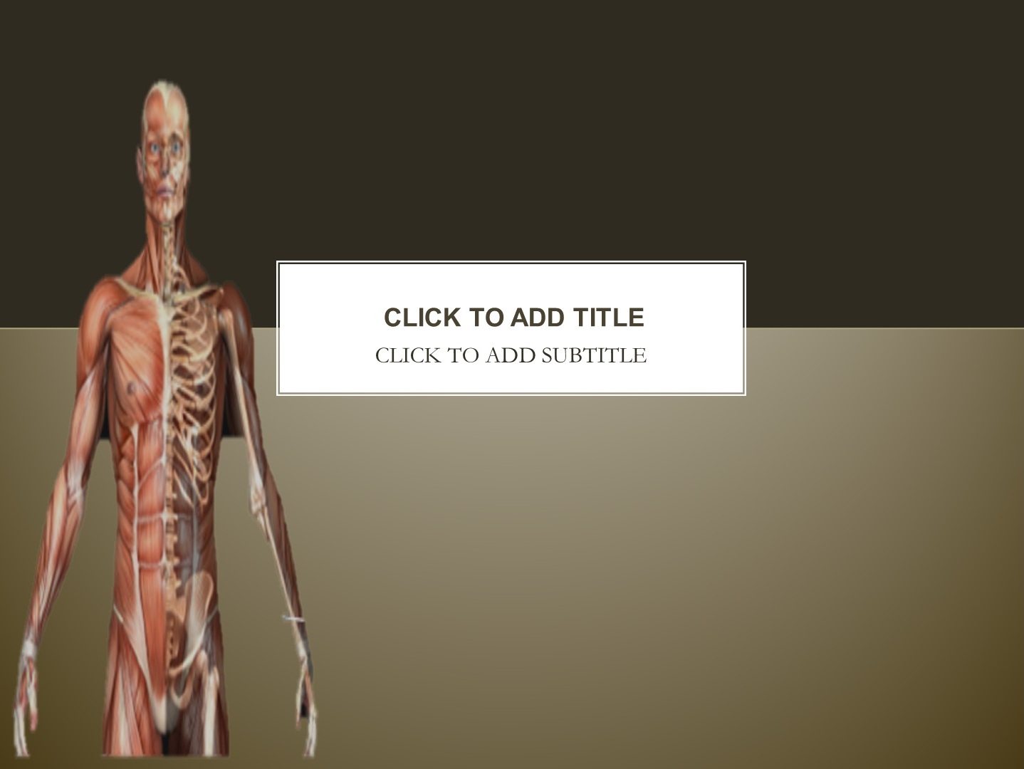 orthopedics-medical-powerpoint-template-free-medical-powerpoint