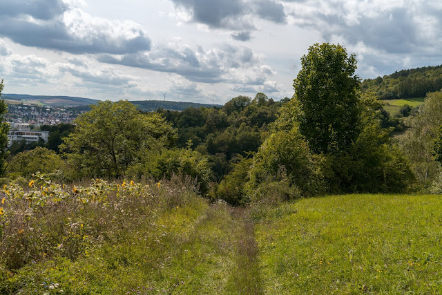 Lokaler Panoramaweg Bad Mergentheim | Wandern Liebliches Taubertal 08