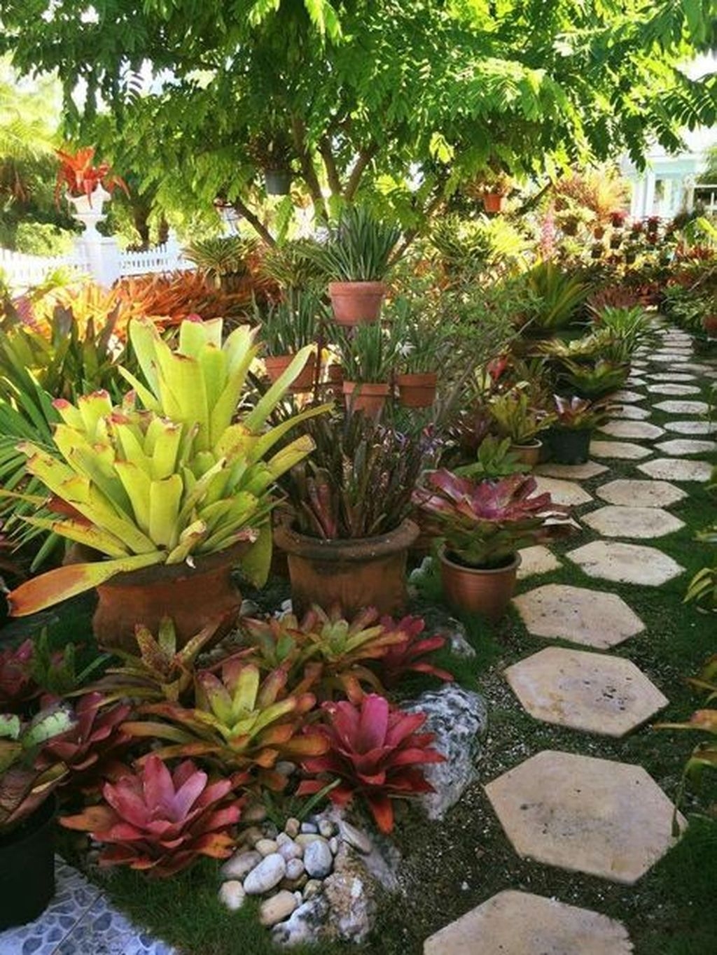 20+ Wonderful Tropical Landscaping Ideas For Garden