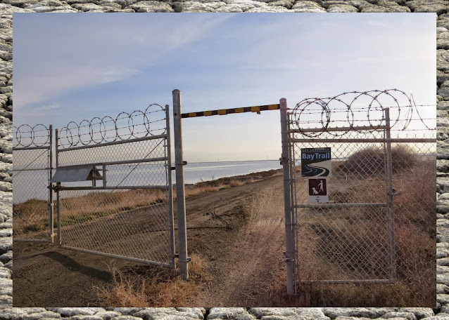 Bird watching Bay Area: Entrance to Bay Marsh Trail