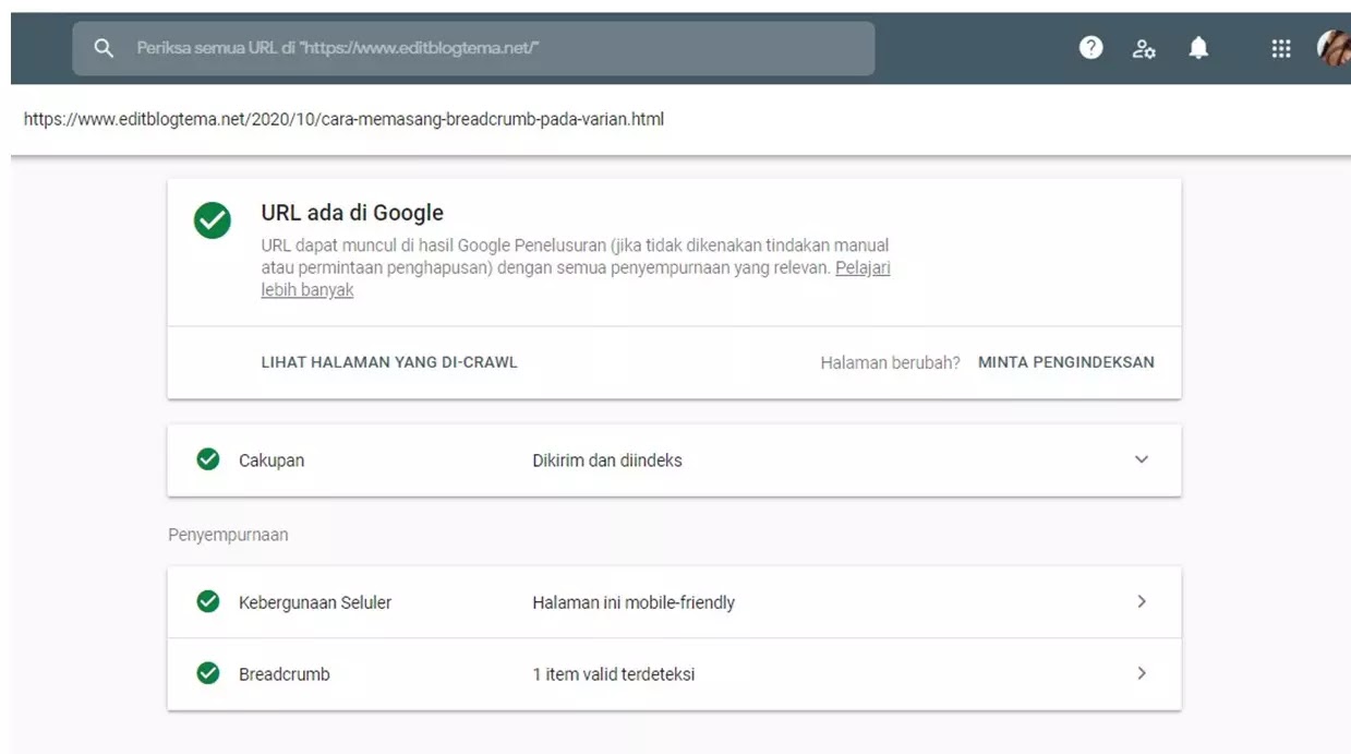 Item di kirim dan di index search console Item di kirim dan di index search console
