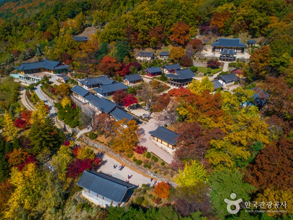 Buseoksa Temple วัดบูซอคซา วัดบนเนินเขาเมืองยองจู