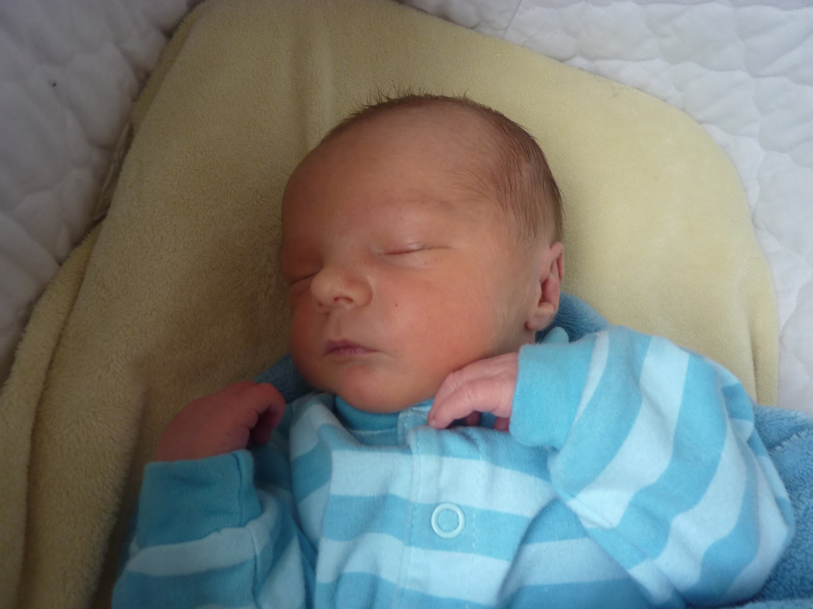 Riley Quinn Life after stillbirth at 29 weeks