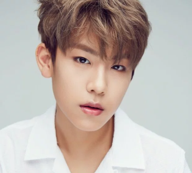 biodata park woo jin wanna one profile lengkap 1001 biodata park woo jin wanna one profile lengkap 1001