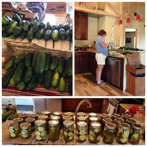 Pickling fun again!