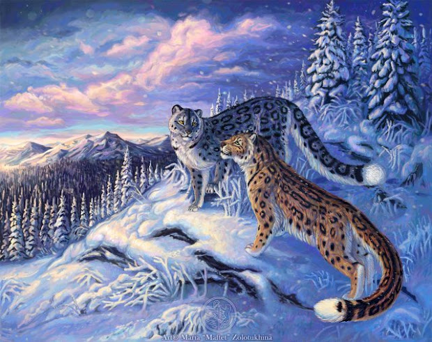 mountain mountains animals