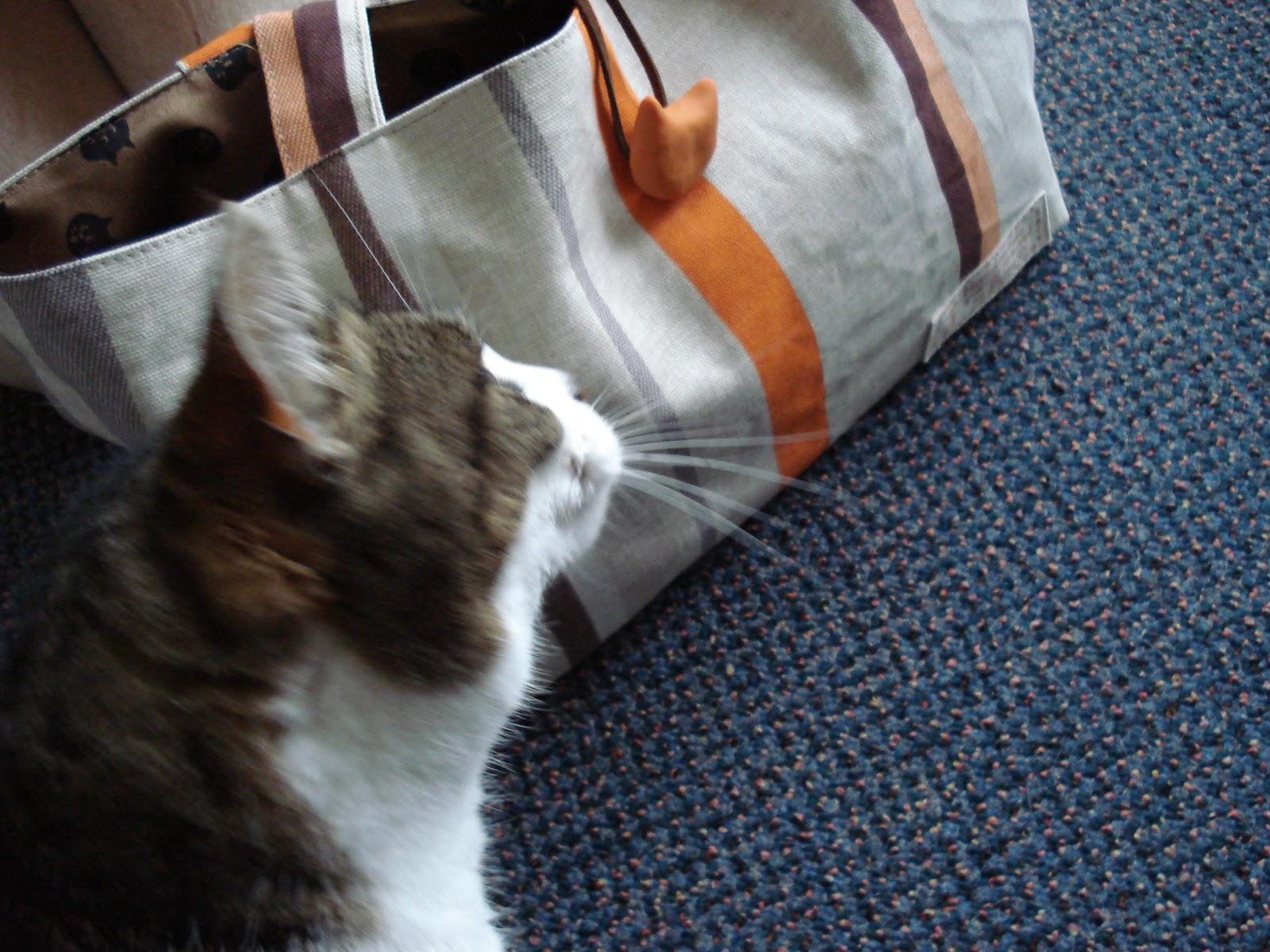 Everyweek Cat Craft Project Week 37 Cat Galore Bag