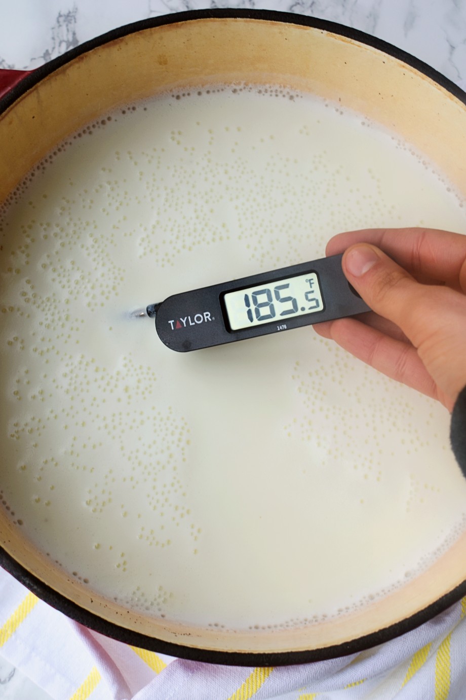 How to Make Homemade Yogurt The Nutritionist Reviews