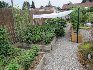 gardener Randy Palmer