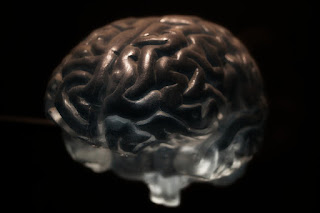5 Datos curiosos sobre el cerebro