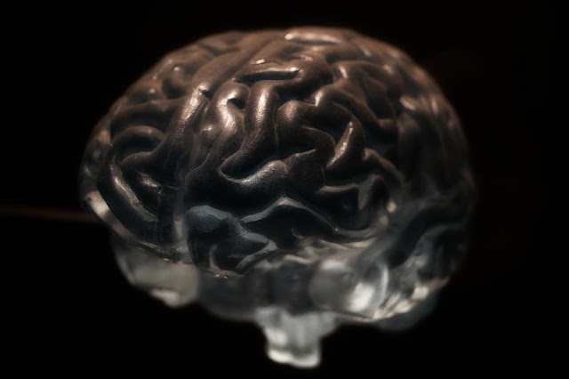 5 Curiosidades sobre el cerebro: