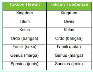 Urutan Takson Yang Paling Tepat Untuk Tumbuhan Dan Penjelasan Singkat