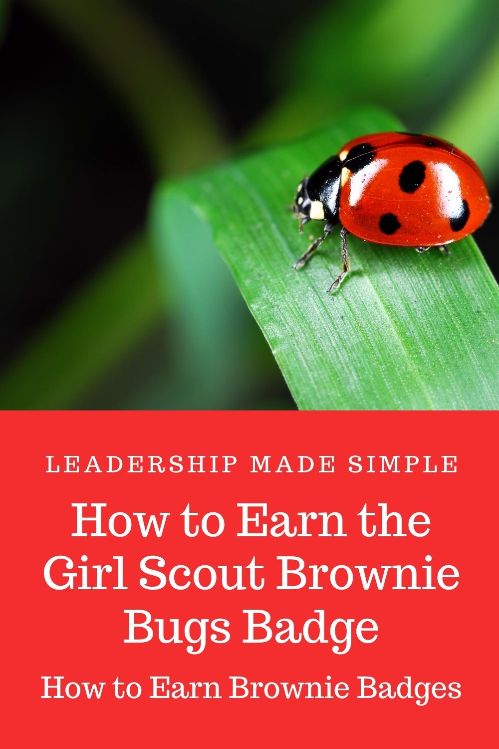 How to Earn Brownie Badges How to Earn the Girl Scout Brownie Bugs Badge