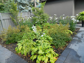 Monochromatic green garden design Danforth backyard by garden muses-not another Toronto gardening blog