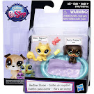 Littlest Pet Shop Small Playset Purty Pointer (#69) Pet