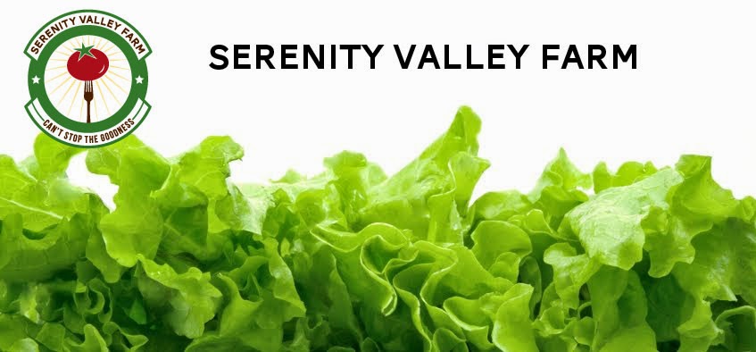 Serenity Valley Farm