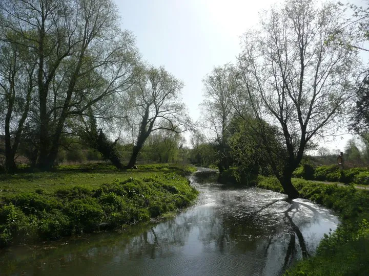 River Blyth near Halesworth