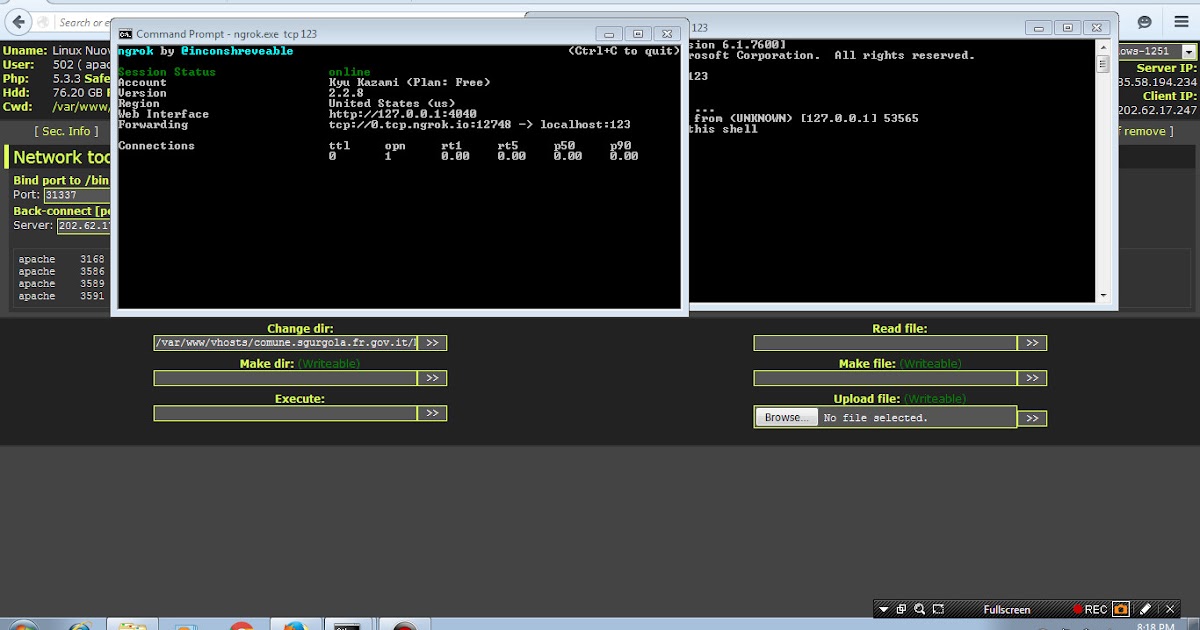 Root server. Бесконечный порт ngrok. как создавать серверы через траунчер для игры. club timer server root.