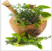 تحميل تطبيق موسوعة الاعشاب الطبية للاندرويد مجاناً  Medicinal Herbs.APK