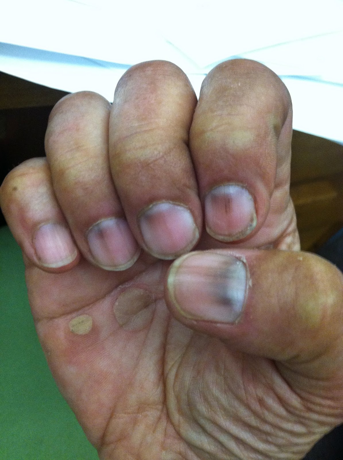 ihopetheycaughtitintime May 2014