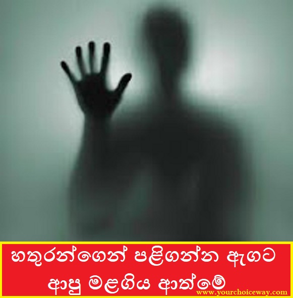 හතුරන්ගෙන් පළිගන්න ඇගට ආපු මළගිය ආත්මේ (Life) - Your Choice Way