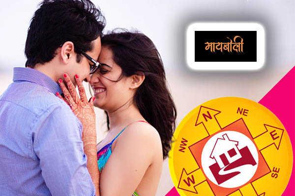 anandi vastu tips in marathi