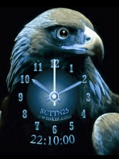 Unduh 102 Wallpaper Bergerak Burung Elang Paling Keren