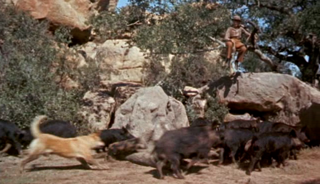 Iverson Movie Ranch How A Single Location On The Iverson Movie Ranch Helped Decide The Fates Of Ronald Reagan Old Yeller And Elvis