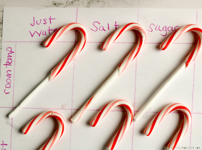 Dissolving Candy Canes Science Experiment Messy Little Monster