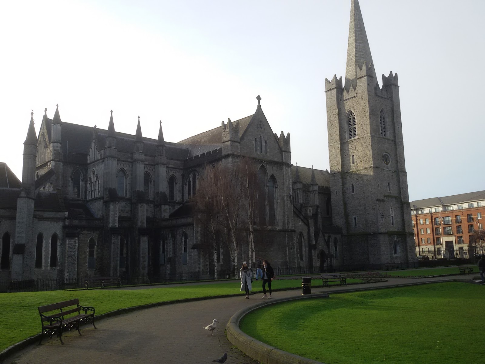 dublin tripp oil change guinness